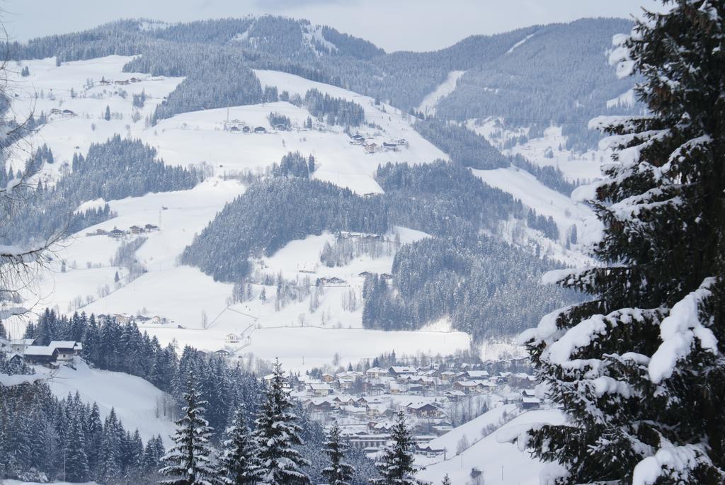 Pension Chalet Bergseegut ヴァークライン エクステリア 写真