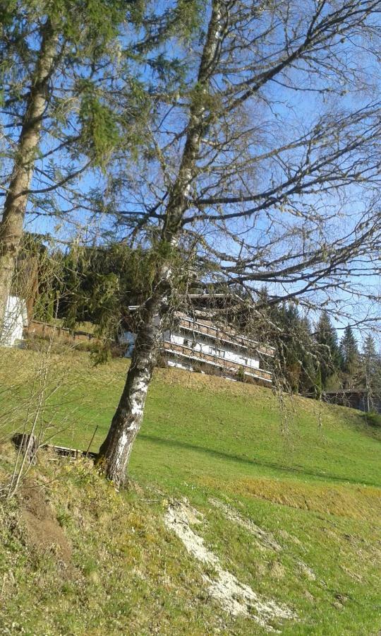 Pension Chalet Bergseegut ヴァークライン エクステリア 写真