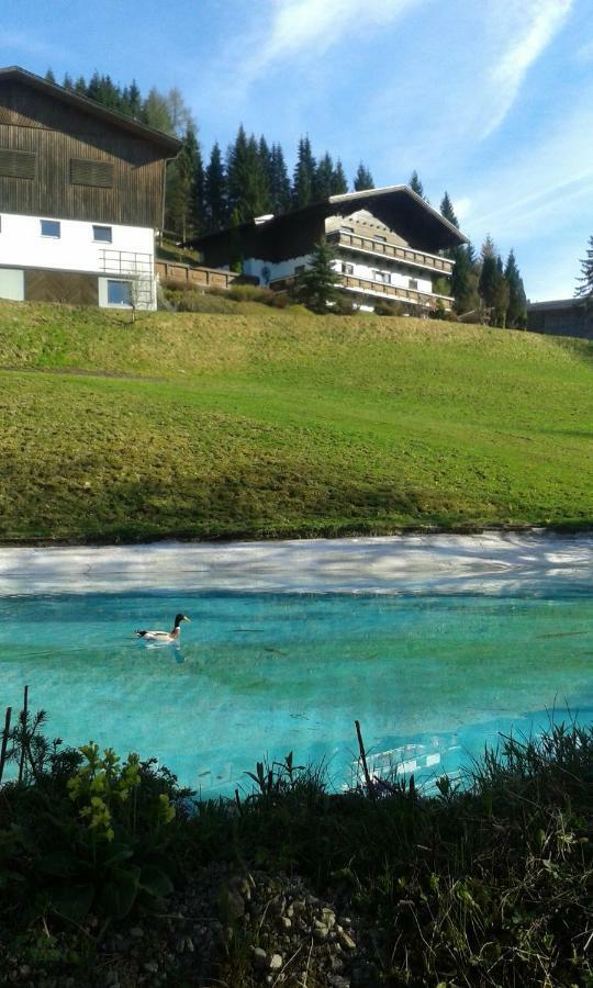 Pension Chalet Bergseegut ヴァークライン エクステリア 写真