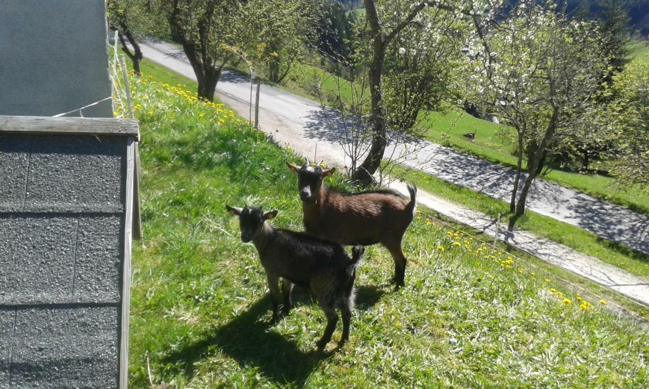 Pension Chalet Bergseegut ヴァークライン エクステリア 写真