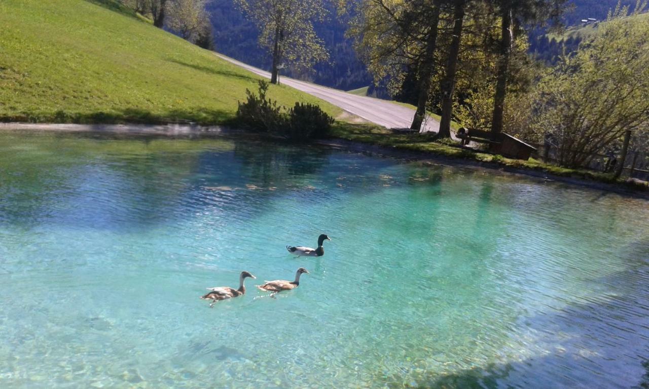 Pension Chalet Bergseegut ヴァークライン エクステリア 写真