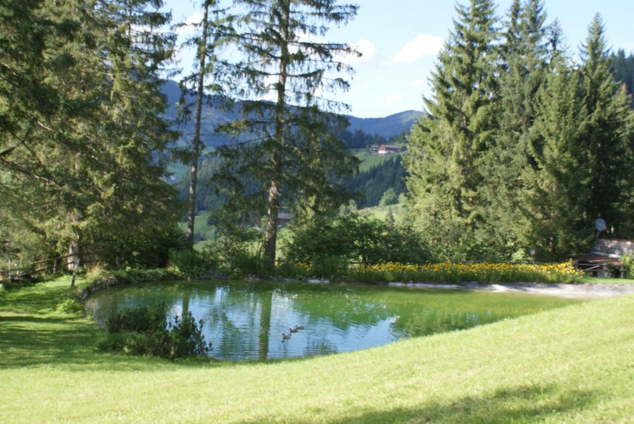Pension Chalet Bergseegut ヴァークライン エクステリア 写真