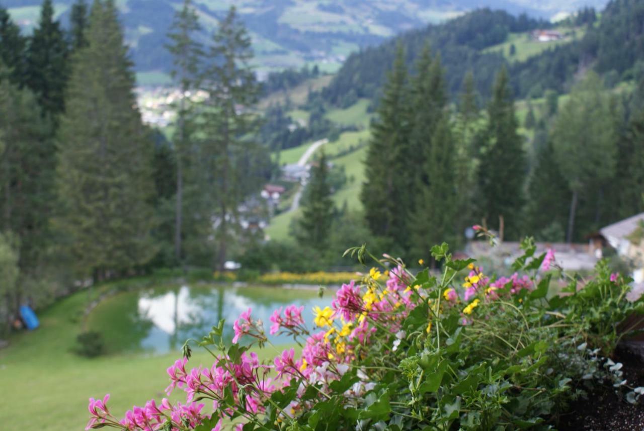Pension Chalet Bergseegut ヴァークライン エクステリア 写真