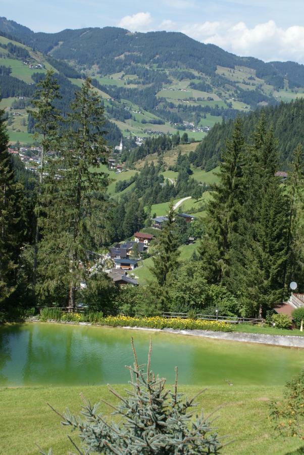 Pension Chalet Bergseegut ヴァークライン エクステリア 写真