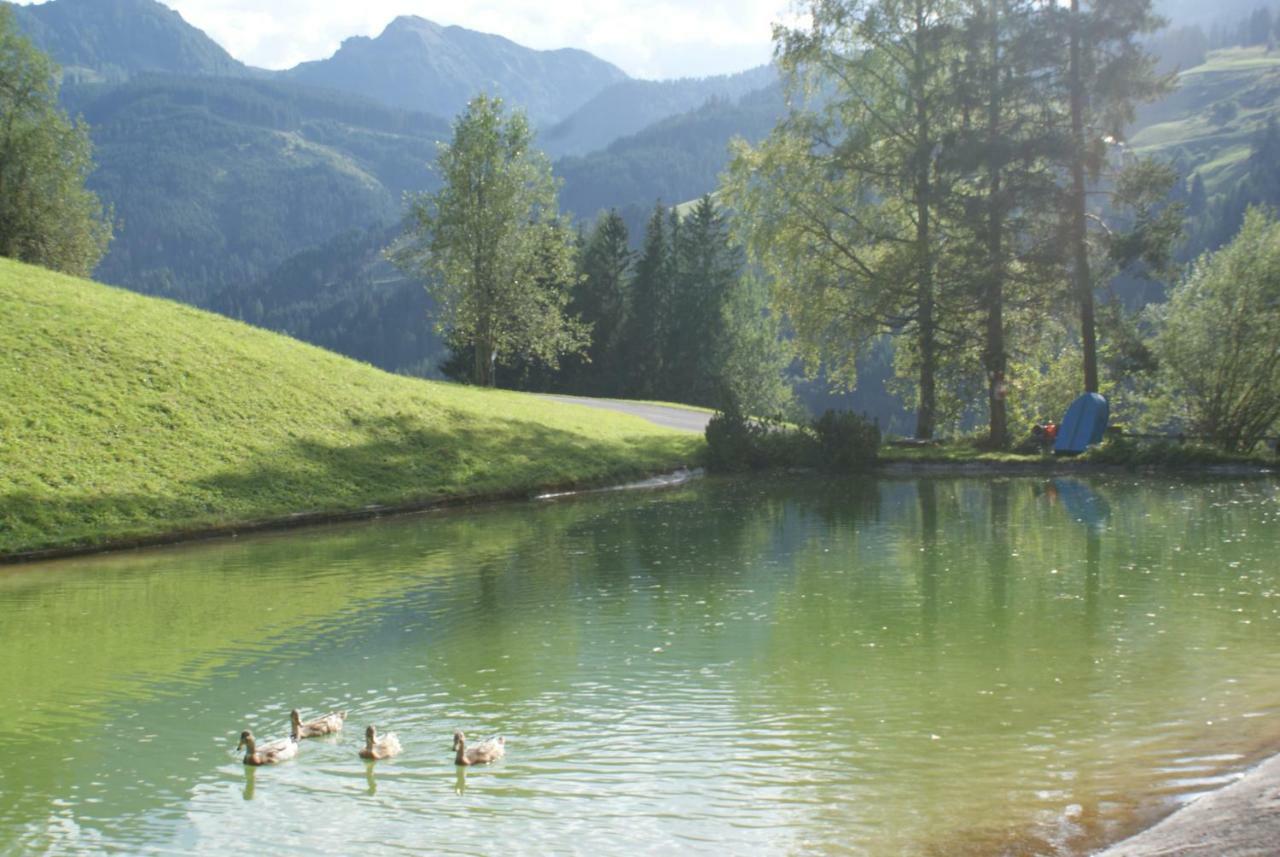 Pension Chalet Bergseegut ヴァークライン エクステリア 写真