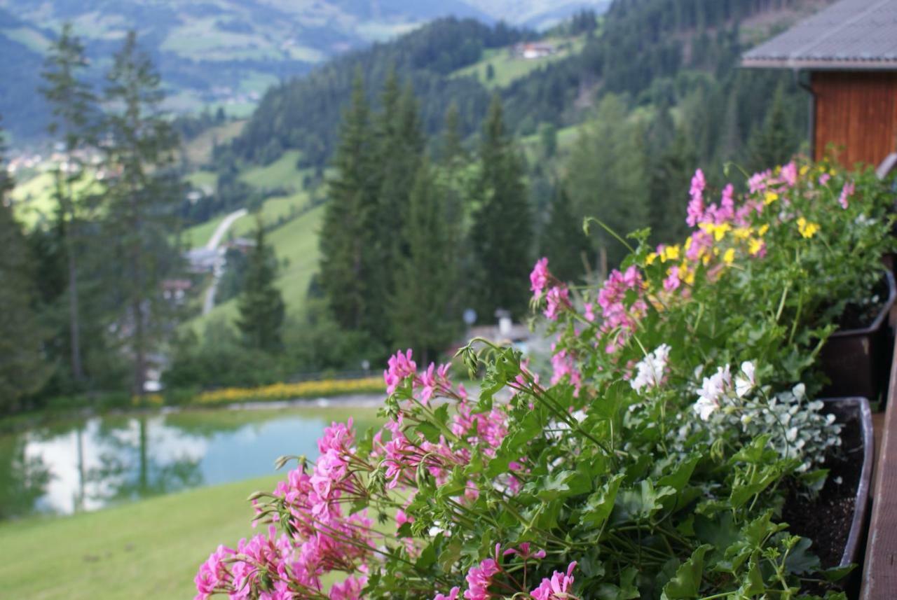 Pension Chalet Bergseegut ヴァークライン エクステリア 写真