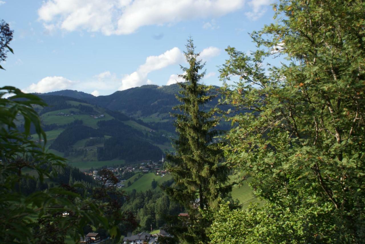 Pension Chalet Bergseegut ヴァークライン エクステリア 写真