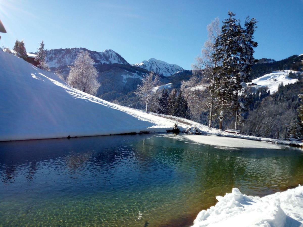 Pension Chalet Bergseegut ヴァークライン エクステリア 写真