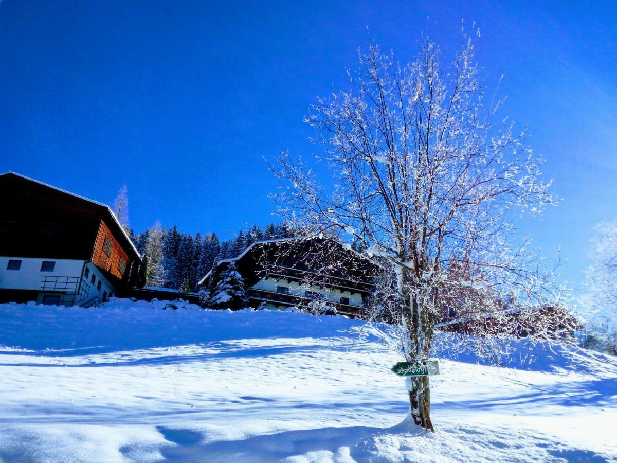 Pension Chalet Bergseegut ヴァークライン エクステリア 写真