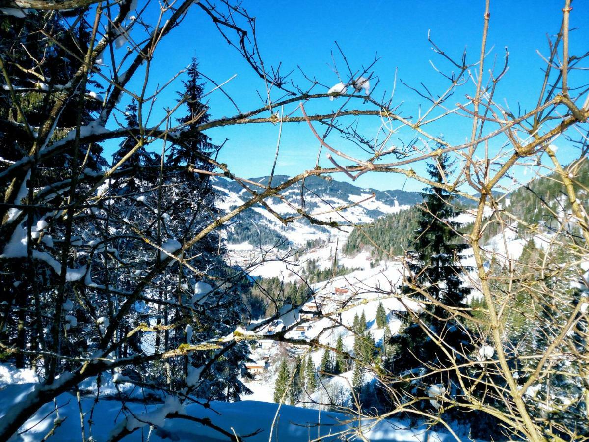 Pension Chalet Bergseegut ヴァークライン エクステリア 写真