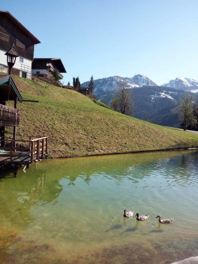 Pension Chalet Bergseegut ヴァークライン エクステリア 写真