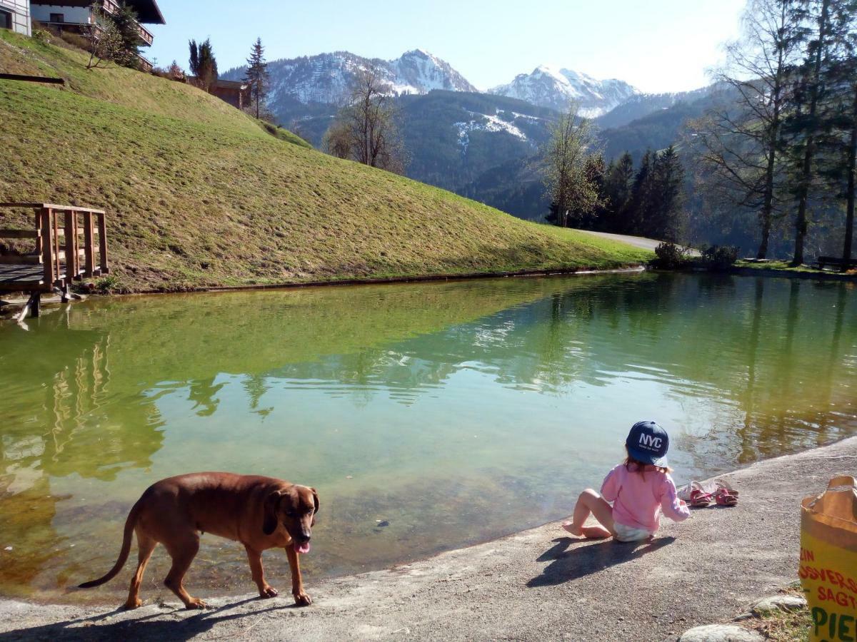 Pension Chalet Bergseegut ヴァークライン エクステリア 写真